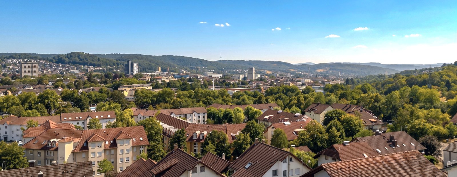 Blick vom Grundstück nach Süden über Lörrach bis zu den bewaldeten Höhen